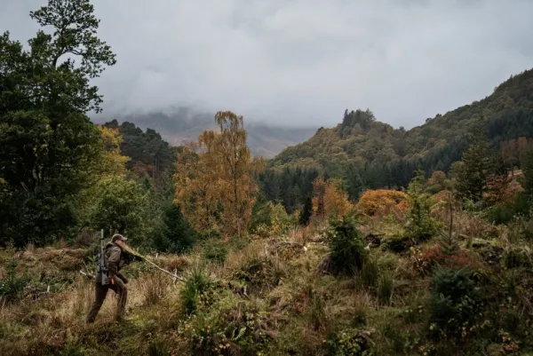 Härkila Forest Hunter GTX Jacket metsästystakki, Hunting Green/Shadow Brown