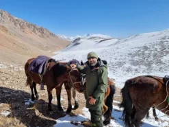 Swazi Wapiti XP takki, Tussock Green